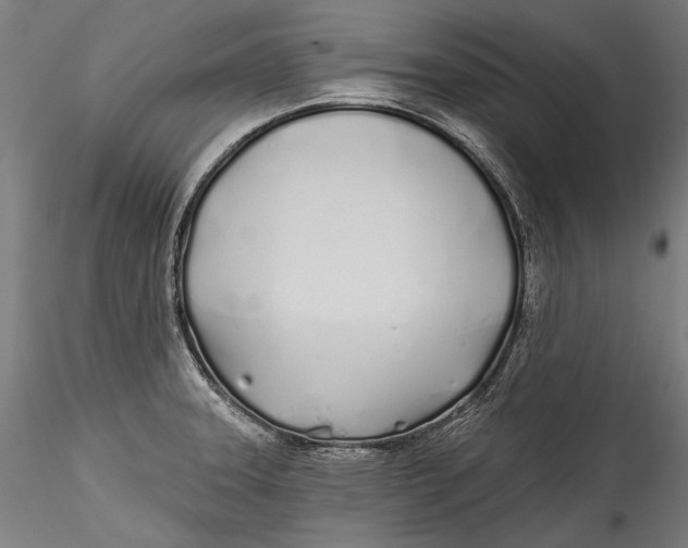 X0000115521331200911271314