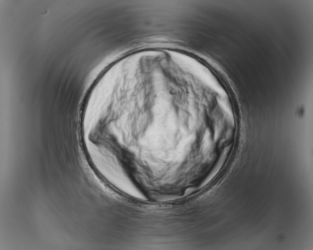 X0000115521333200911271314