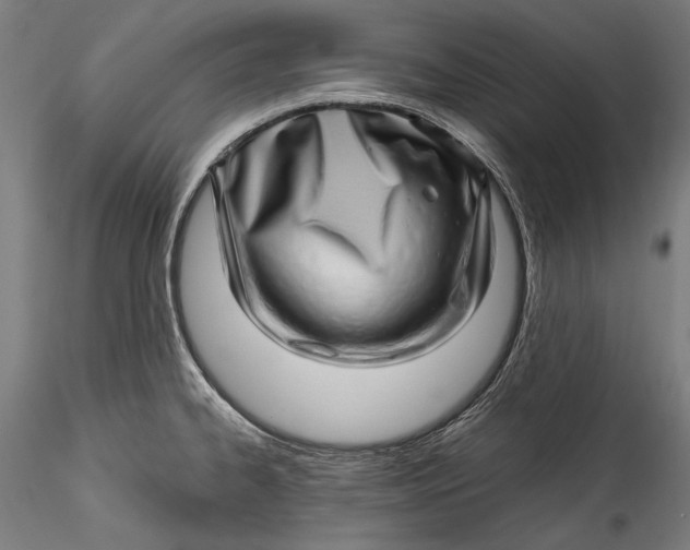 X0000115521334200911271314