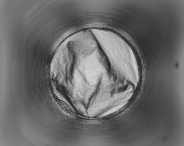 X0000115521337200911271314