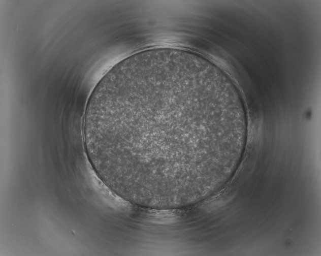 X0000115521338200911271314