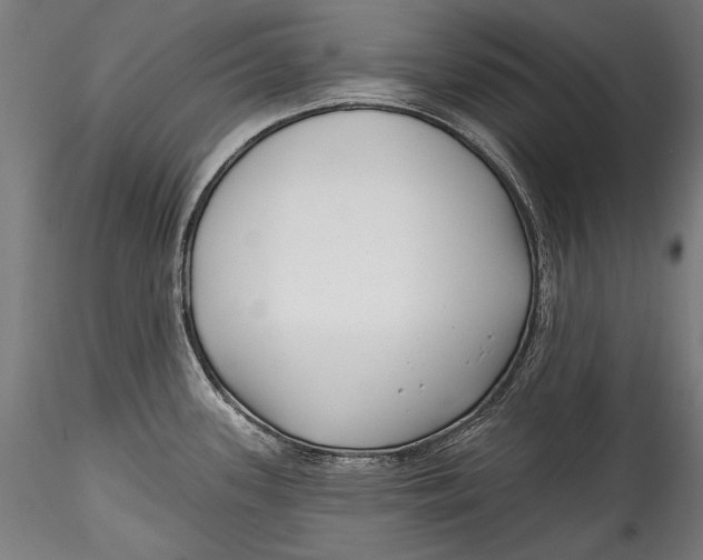 X0000115521339200911271314