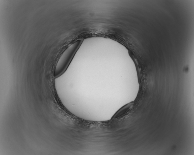 X0000115521345200911271314