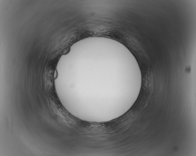 X0000115521346200911271314