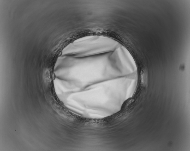 X0000115521347200911271314