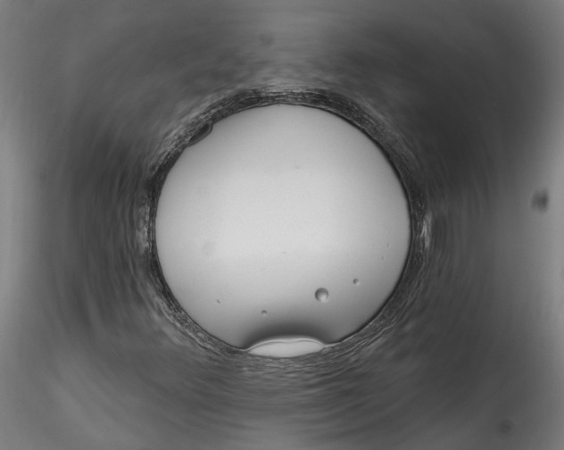 X0000115521348200911271314