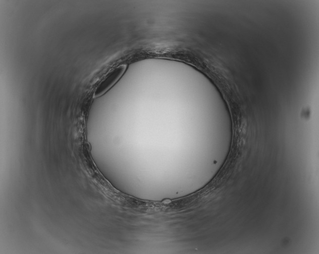 X0000115521349200911271314