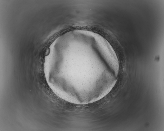 X0000115521350200911271314