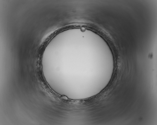 X0000115521352200911271314