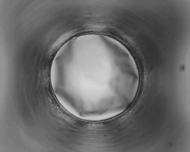 X0000115521354200911271313