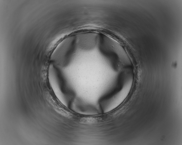 X0000115521355200911271313