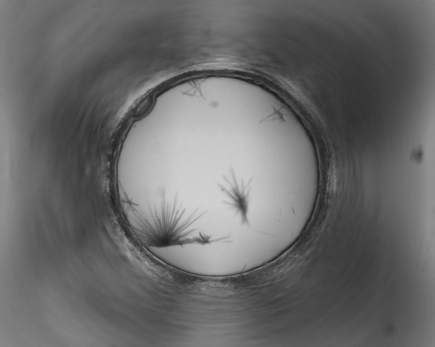 X0000115521356200911271313