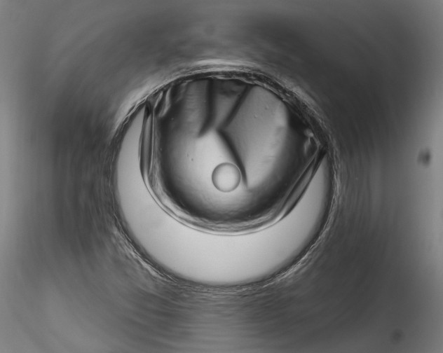 X0000115521357200911271313