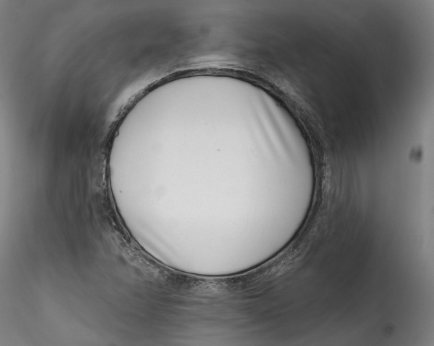 X0000115521358200911271313