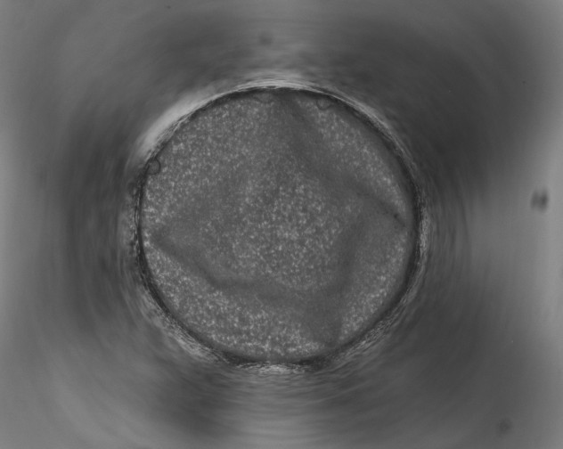 X0000115521359200911271313