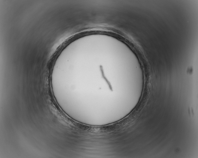 X0000115521360200911271313