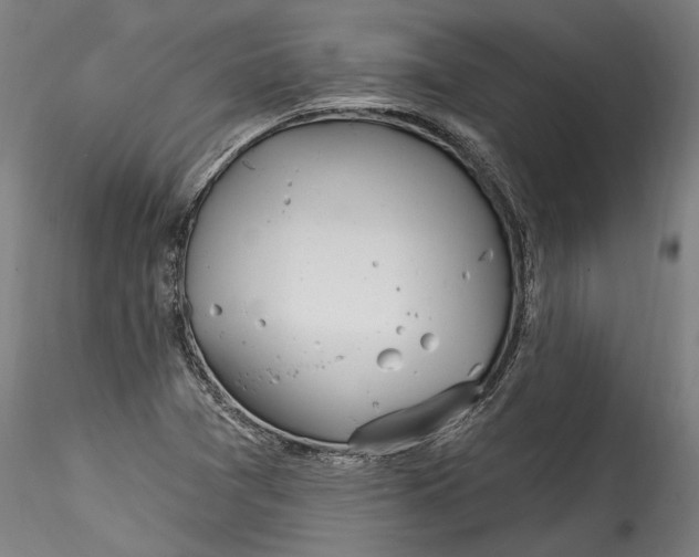 X0000115521361200911271313