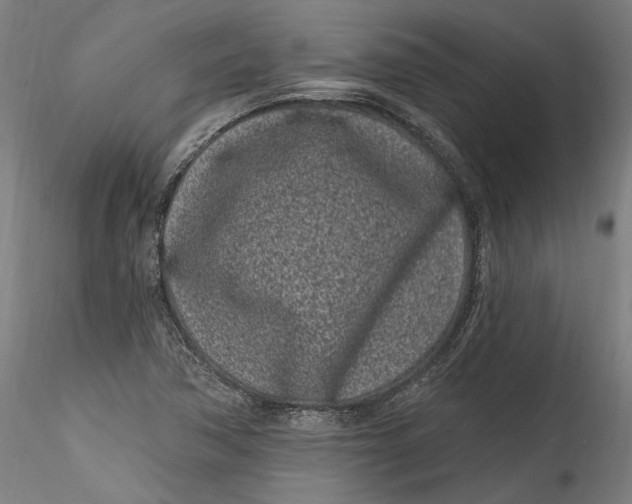 X0000115521362200911271313