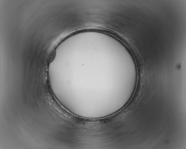 X0000115521363200911271313