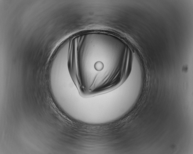 X0000115521364200911271313