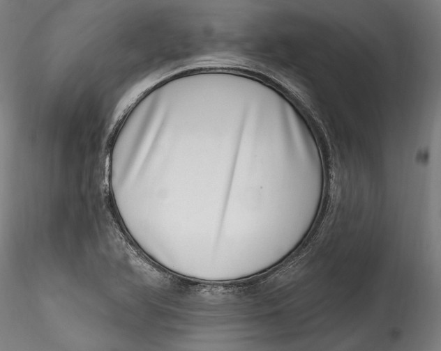 X0000115521366200911271313