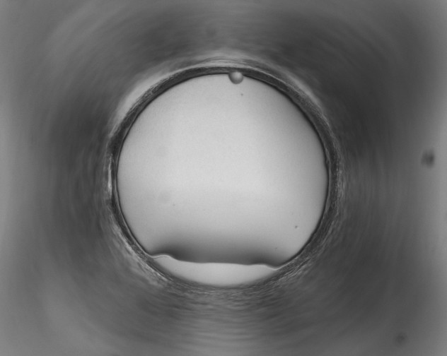 X0000115521368200911271313