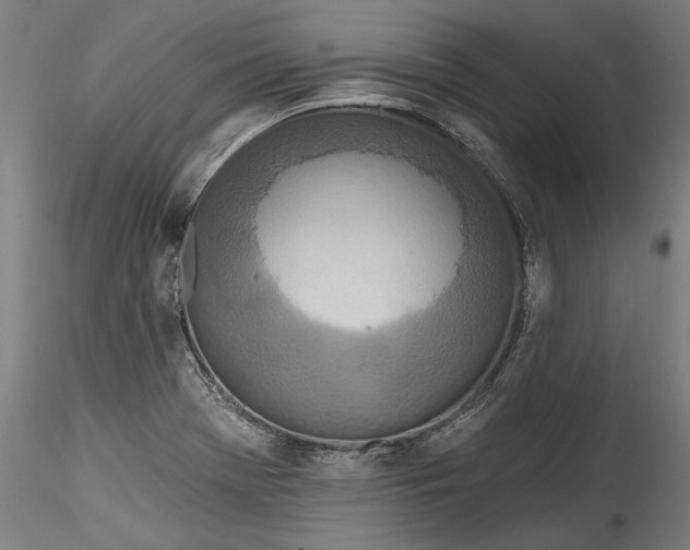 X0000115521369200911271313