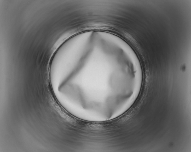 X0000115521370200911271313