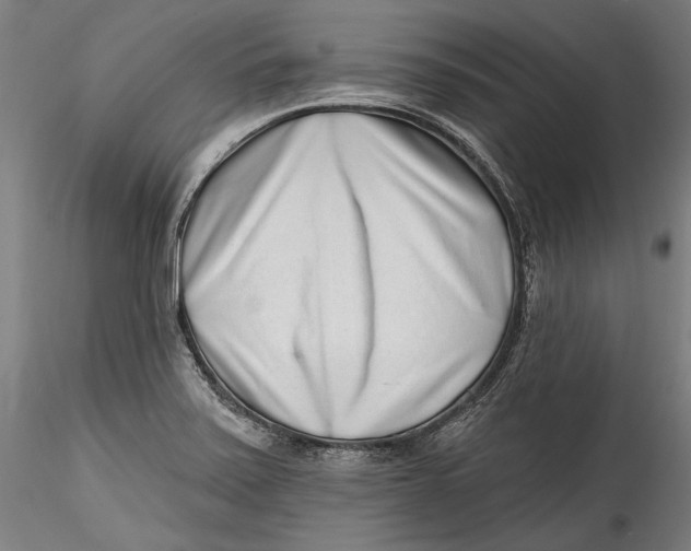 X0000115521371200911271313