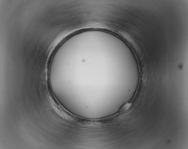 X0000115521372200911271313