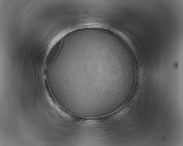 X0000115521373200911271313