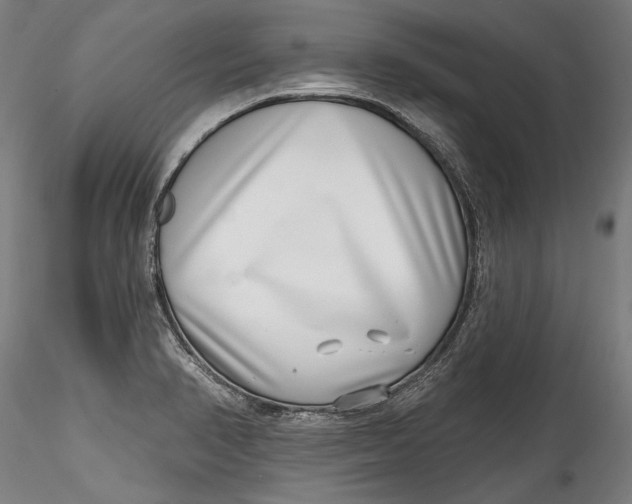 X0000115521374200911271313