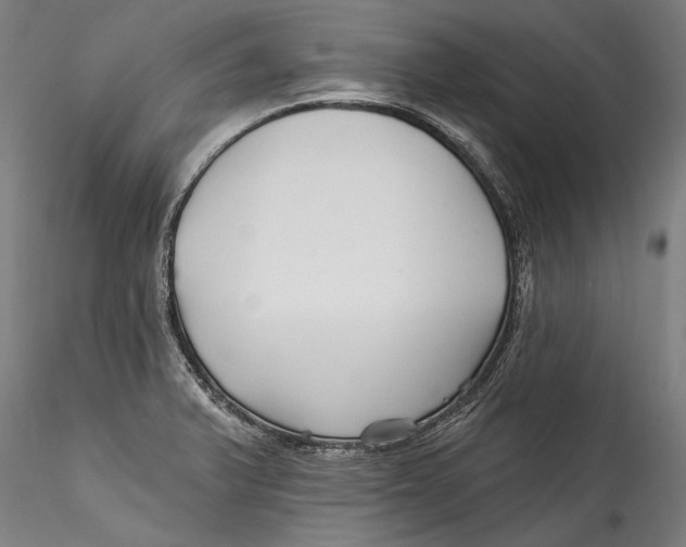 X0000115521375200911271313