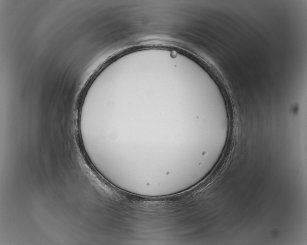 X0000115521376200911271313