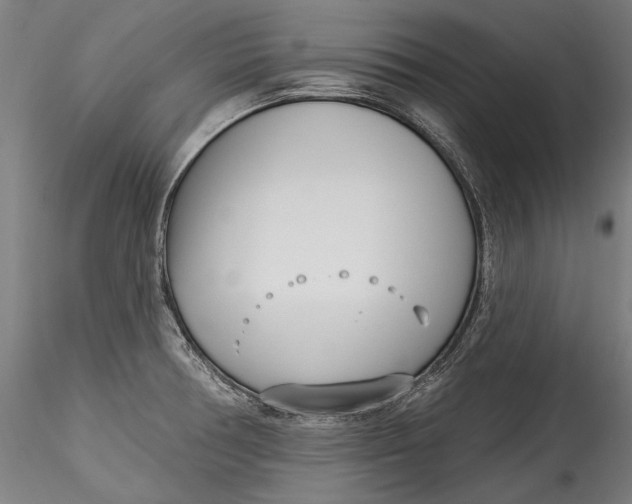 X0000115521378200911271313