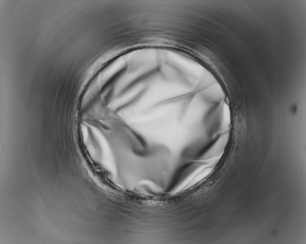 X0000115521379200911271313