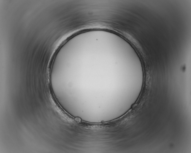 X0000115521380200911271313