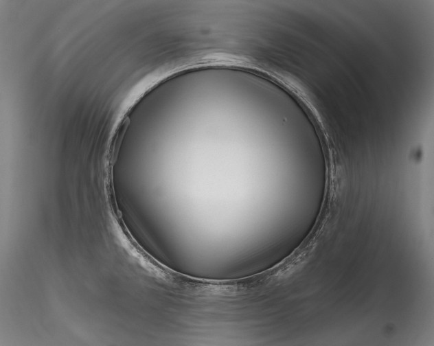 X0000115521381200911271313