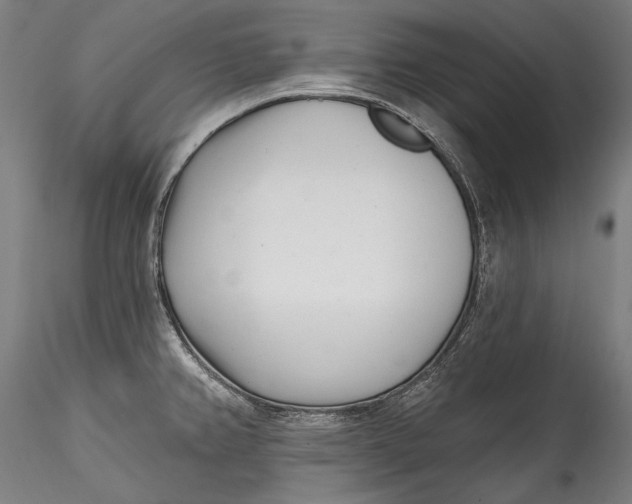 X0000115521382200911271313