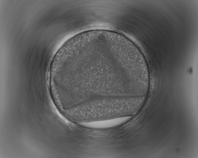 X0000115521383200911271313