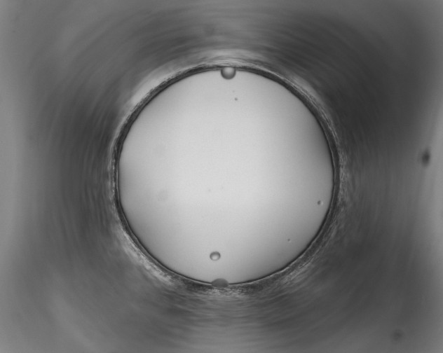 X0000115521384200911271313