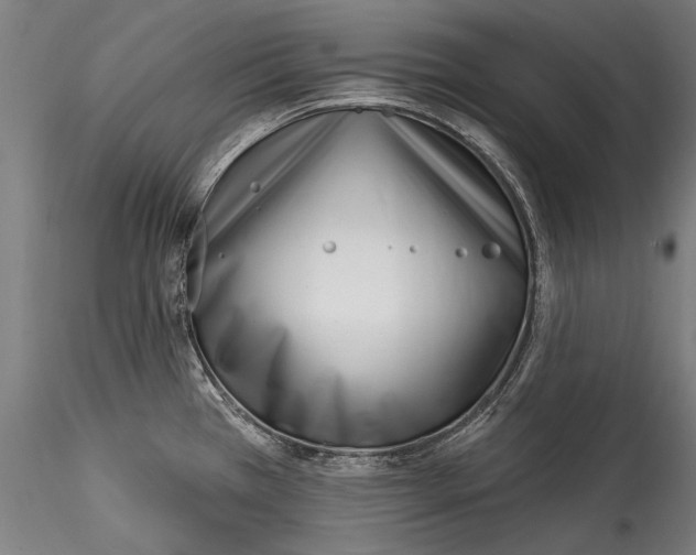 X0000115521385200911271313