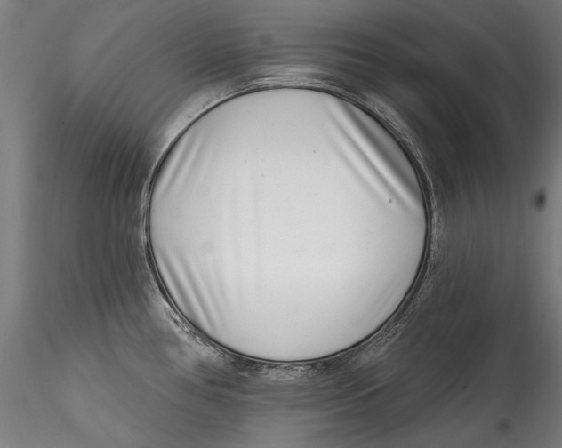 X0000115521386200911271313