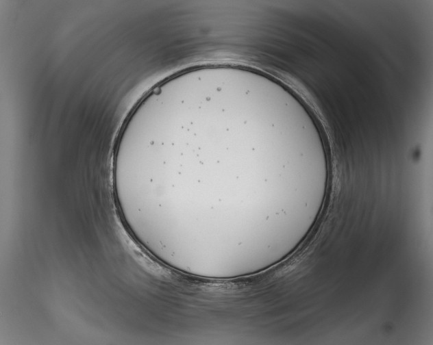 X0000115521388200911271313