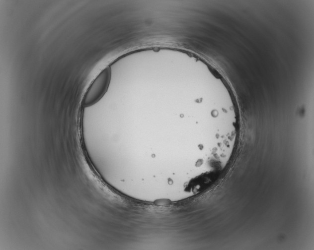 X0000115521389200911271313