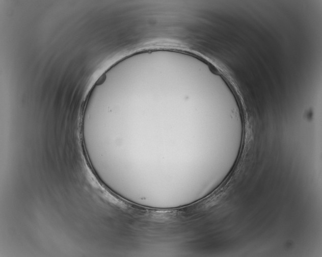 X0000115521390200911271313