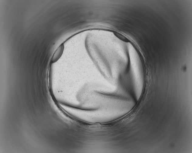 X0000115521391200911271313