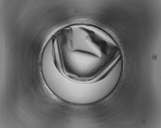 X0000115521392200911271313