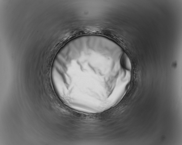 X0000115521393200911271312