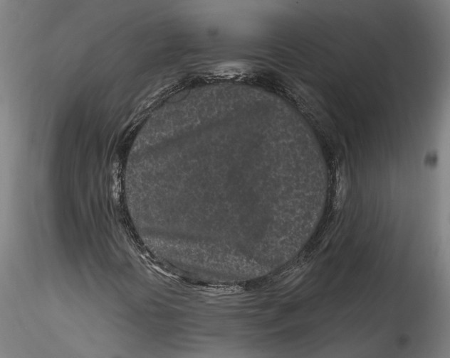 X0000115521394200911271312